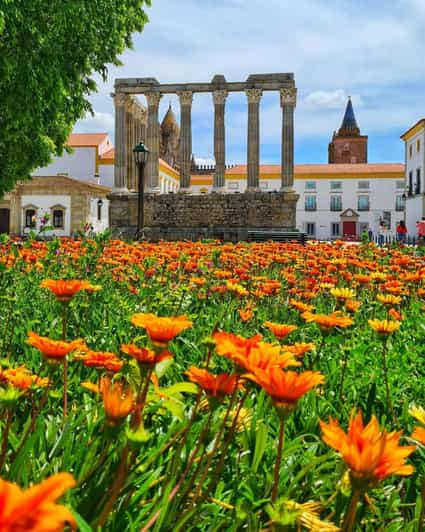 Vino y Maravillas: Explorando la historia de Évora