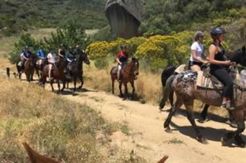 Finca vinícola Vrede en Lust: 1h30m Paseo a caballo