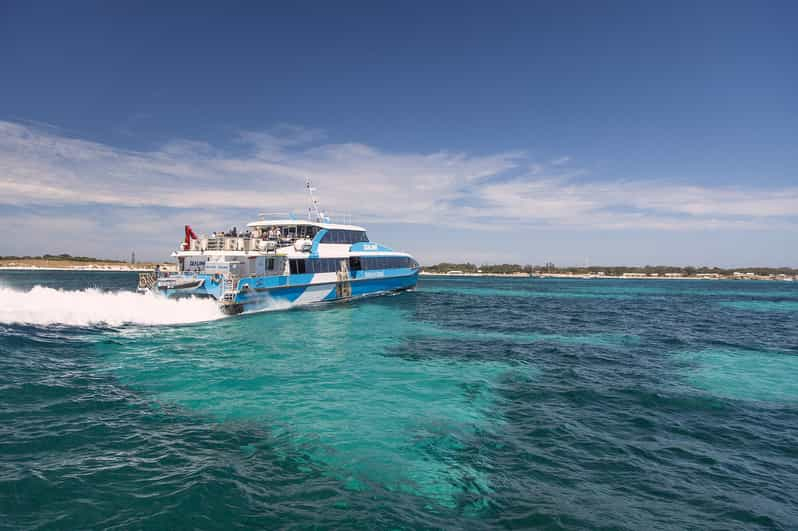 Desde Perth o Fremantle: ferri a isla de Rottnest y tour en autobús