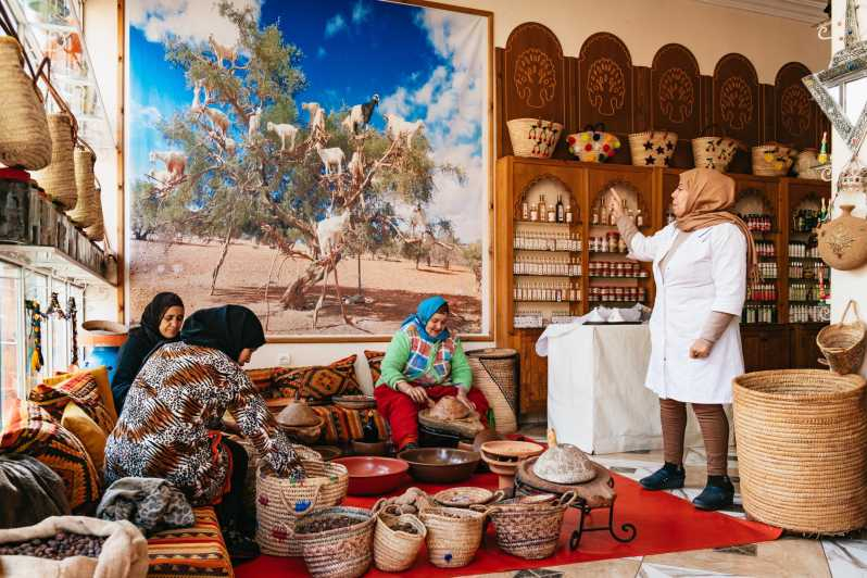 Marrakech: Descubre el Atlas y sus valles con almuerzo