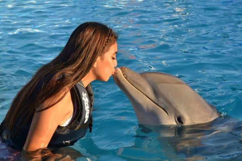 Nuevo Vallarta: Experiencia con delfines en el Parque Acuático Splash