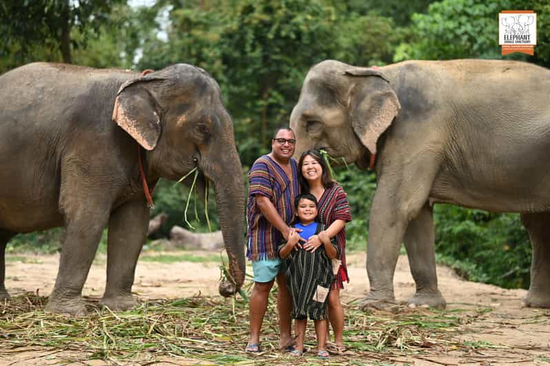 Koh Samui: Entrada al Santuario de Elefantes y Experiencia de Alimentación