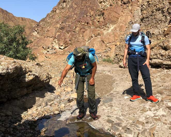 Senderismo guiado y aventura en la naturaleza I EAU (desde Dubai)