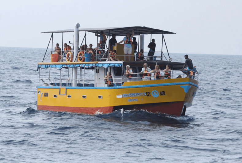 Todo Incluido Mirissa Paseo en barco para avistar ballenas y delfines