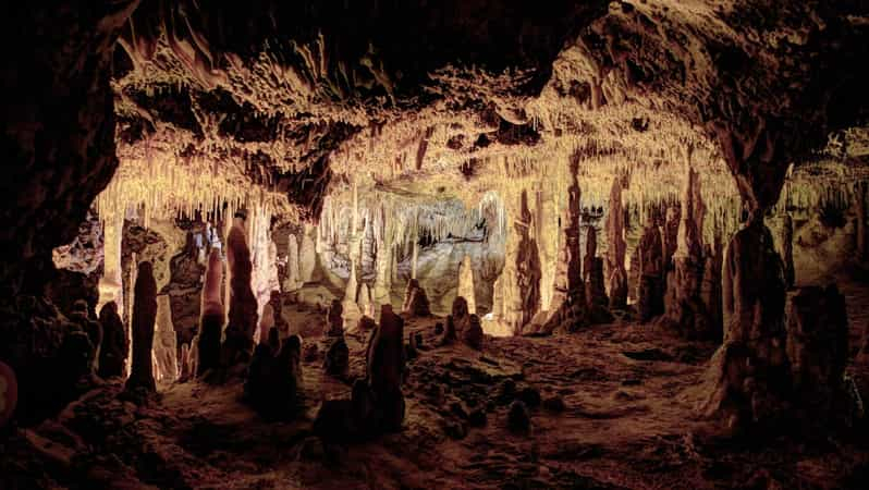 Mallorca: Tour de medio día por las Cuevas del Hams y la Tienda de Perlas