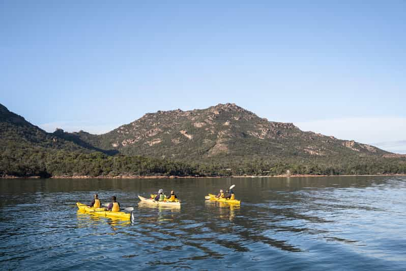 Excursión en kayak de remo por Freycinet