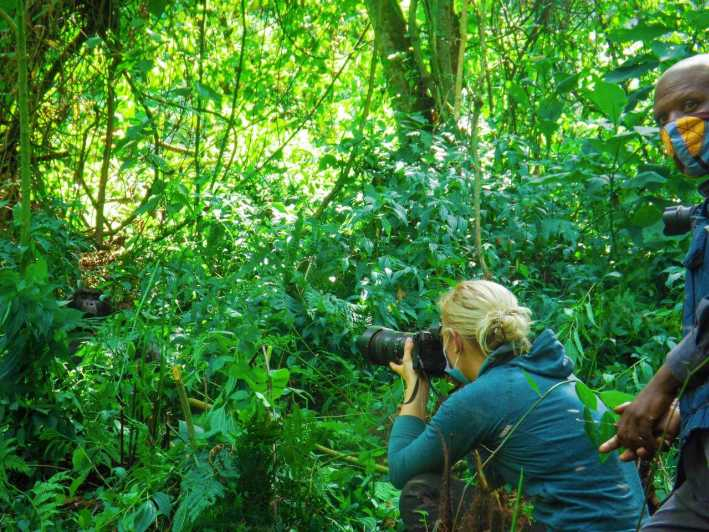 Experiencia de 3 días de senderismo con gorilas en la selva de Bwindi