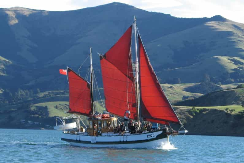 Akaroa: Crucero en velero con delfines y pingüinos