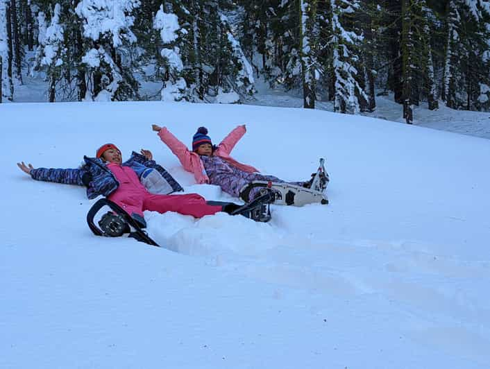 Excursión con raquetas de nieve para principiantes y familias