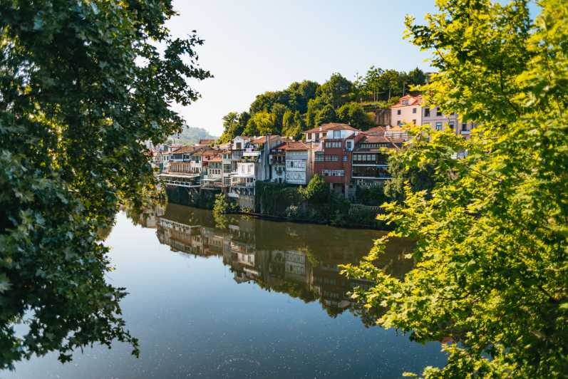 Valle del Duero: Ruta del Vino con Almuerzo, Catas y Crucero Fluvial