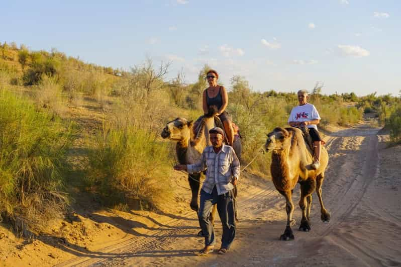 Desde Bujará: Excursión de 2 días al Campamento de Yurtas del Desierto