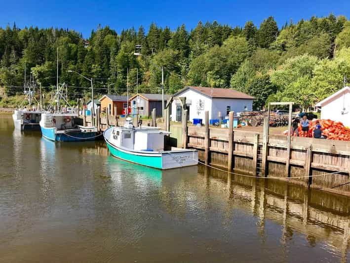 Saint John: Los 10 lugares más destacados y tour en autobús por la Bahía de Fundy