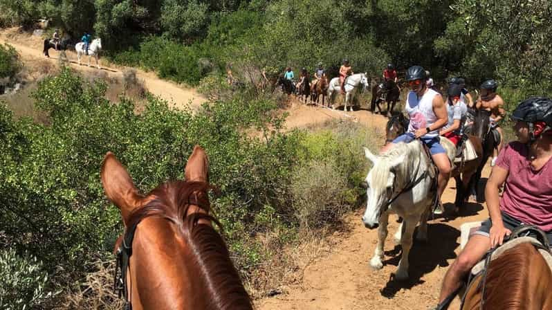 Finca vinícola Vrede en Lust: 1H Ruta del Caballo del Desayuno