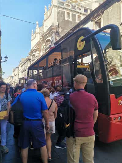 Catania - Nicolosi - Etna Autobús Panorámico