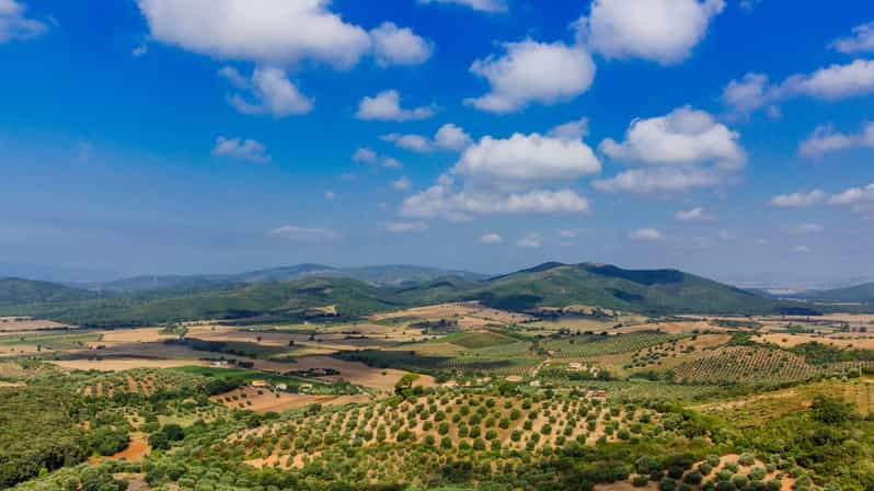 Civitavecchia: excursión guiada de un día a la Toscana con cata de vinos