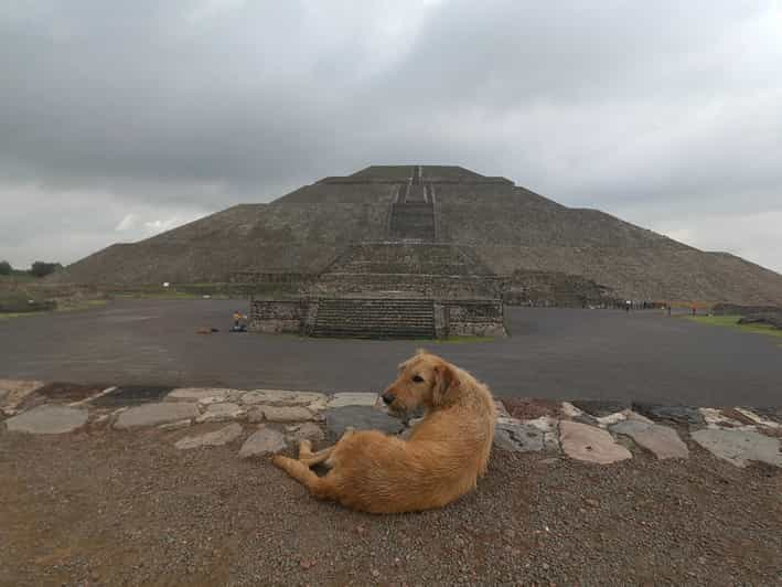 Gran Excursión Personal a las Pirámides de Teotihuacán c/Tickets