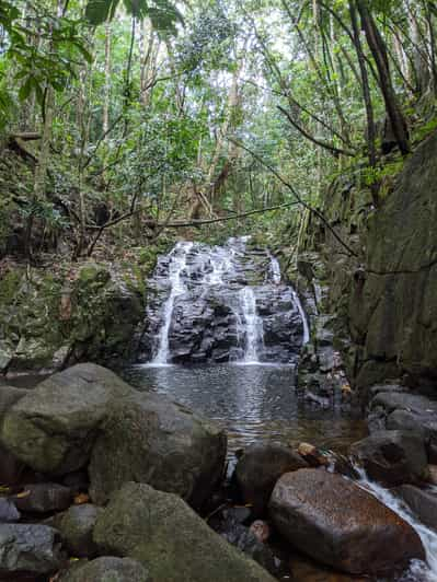 Excursión de Aventura en la Jungla: Escala, Cascada, ¡Descubre las Seychelles!