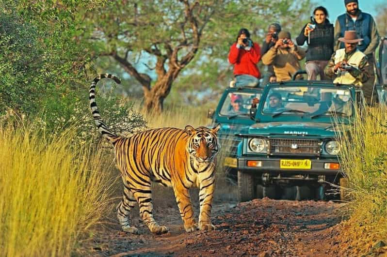 Reserva en los Parques Nacionales de la India