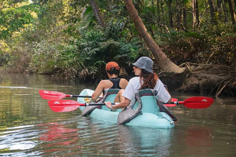 Excursión en kayak por los manglares Cerca del Parque Manuel Antonio