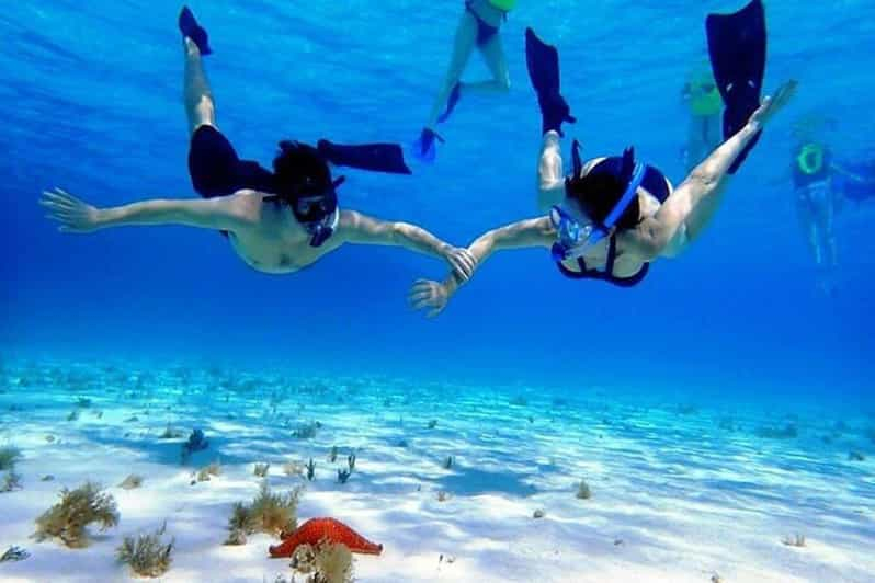 Cozumel El Cielo Excursión de snorkel por el banco de arena y el arrecife