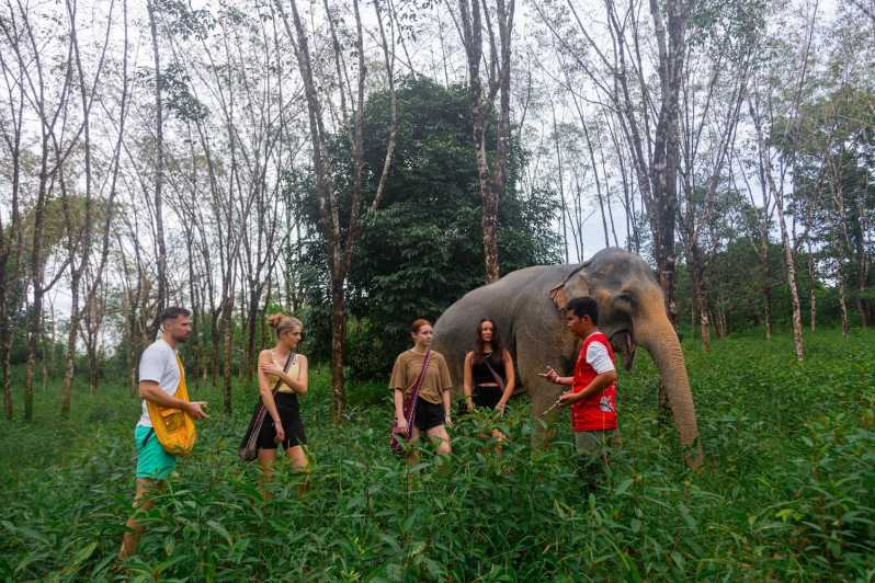 Phuket: Excursión al Santuario de Elefantes, Clase de Cocina y Almuerzo