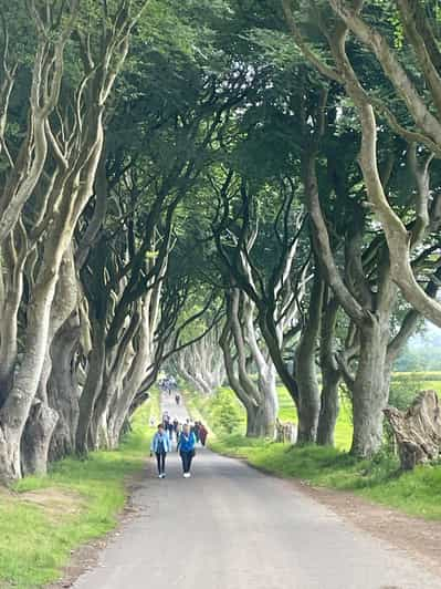 Giants causeway 4 hour tour tickets de entrada incluidos