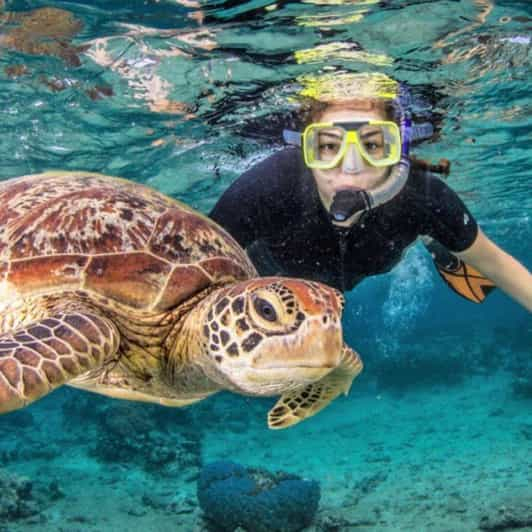 Isla Gili: Excursión de snorkel a 3 puntos en lancha rápida