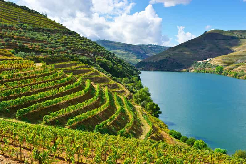 Valle del Duero y Amarante - desde Oporto o Guimarães