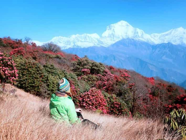 Pokhara: Senderismo guiado de 4 días por Poon Hill y Ghandruk