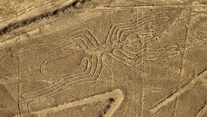 Desde Nazca: Vuelo en avioneta sobre las Líneas de Nazca