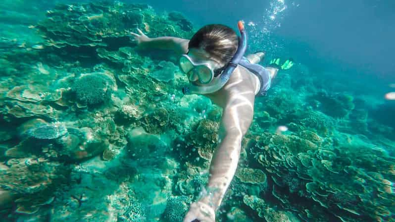 Dorgali: Esnórquel en la playa de Cartoe, en el golfo de Orosei