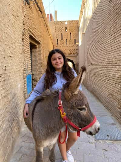 Paseos de 3 horas en Tozeur acompañados por un Burro