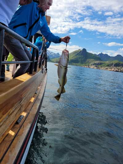 Lofoten: Aventura de pesca