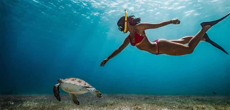 Excursión de snorkel desde la playa de Polhena, Matara, Sri Lanka