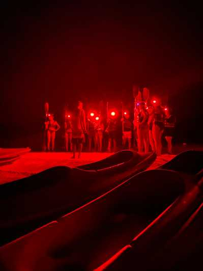 Excursión en kayak por la bioluminiscencia en Holbox