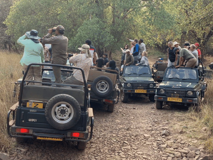 Ranthambore: Safari por el Parque Nacional (Avistamiento de Tigres de Bengala)