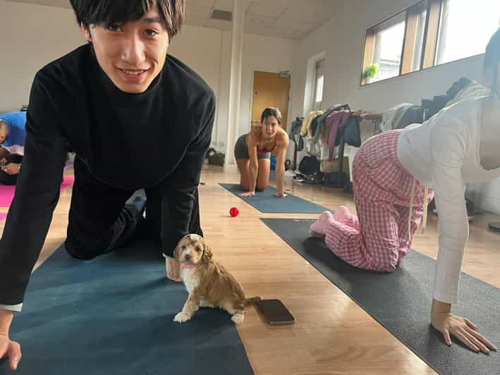 YOGA PARA CACHORROS EN LEEDS