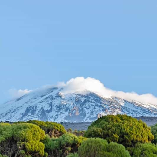 #1. Mejor excursión de un día al Kilimanjaro-Ruta Machame-ISMANI