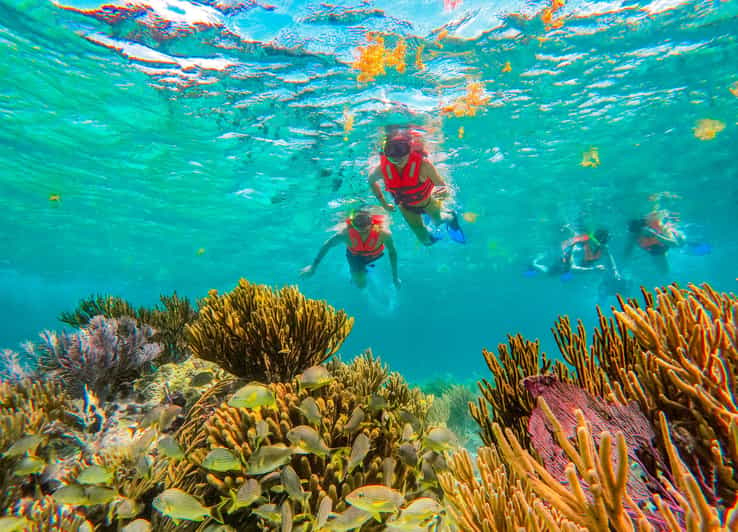 Puerto Morelos: Excursión de snorkel en el arrecife con comida junto a la playa