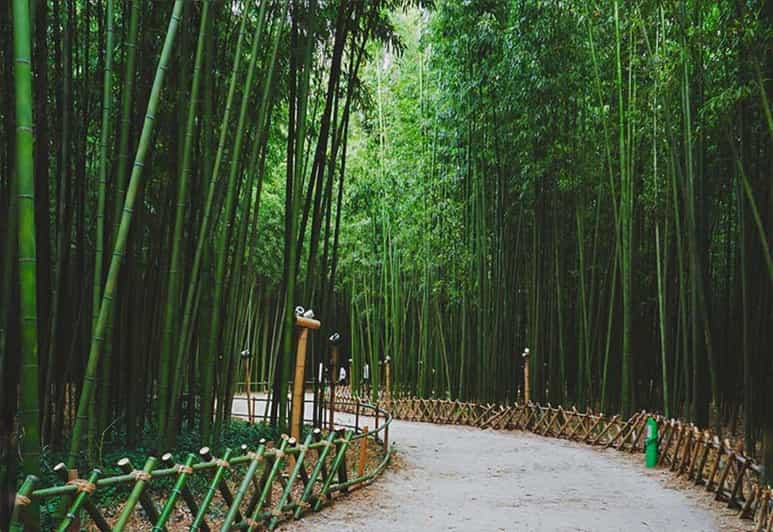 Aldea de bambú y excursión en bicicleta por Wayanad