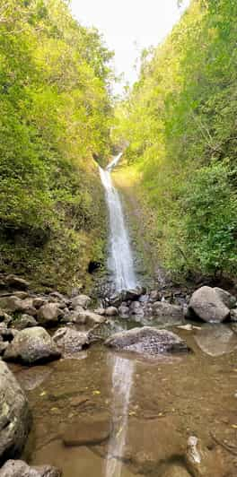 Caminata - Inmersión en la Cascada, Senderos de la Selva Tropical (Servicio de recogida)