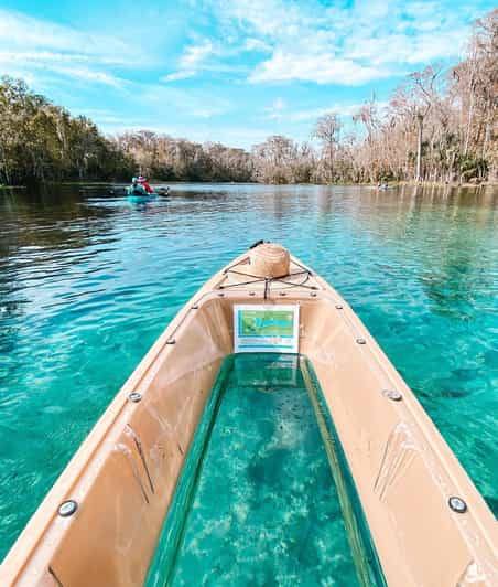 Silver Springs: Excursión guiada en kayak con fondo de cristal