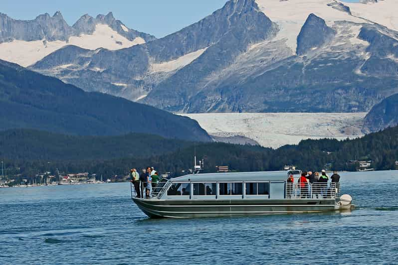 Desde Juneau: Tour de avistamiento de ballenas con aperitivos