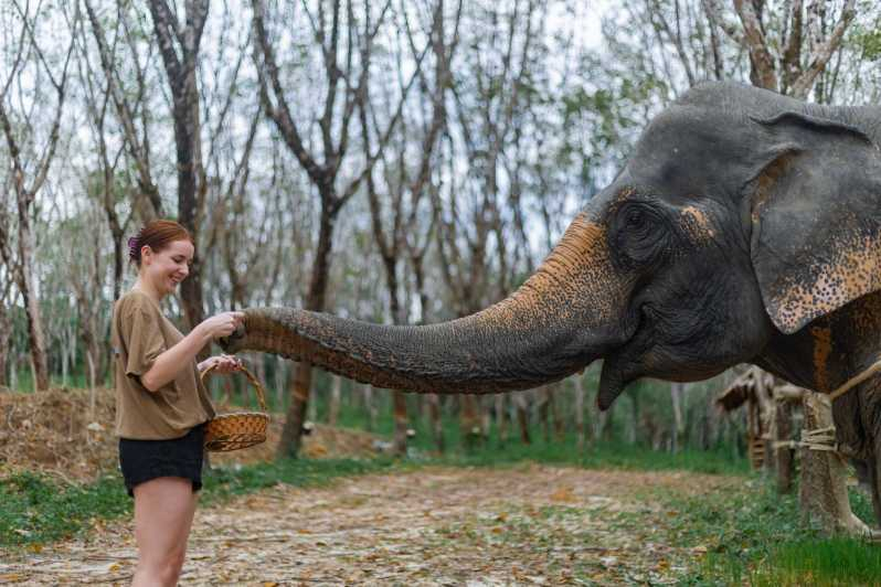 Khao Lak: Ecoviaje de 1 hora al Santuario de Elefantes con lanzadera