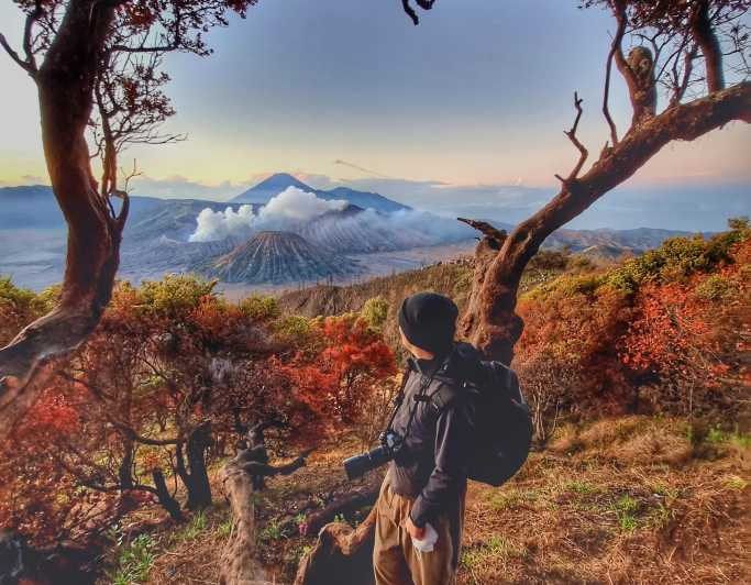 Excursión de 1 día al Amanecer del Monte Bromo y la Cascada de Madakaripura