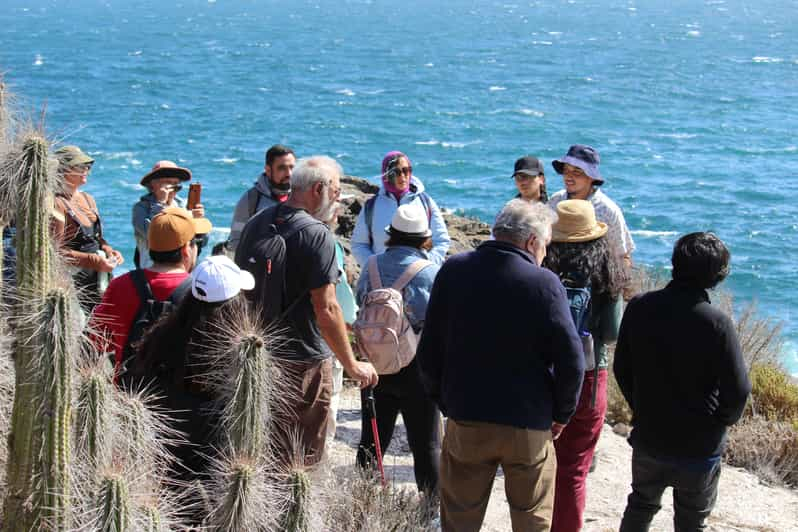 Caleta Los Hornos: Senderismo yacimientos arqueológicos