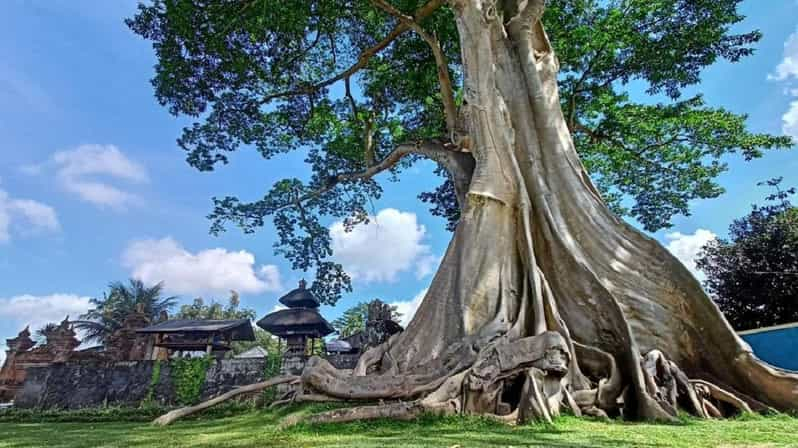 Bali : Asombrosas Joyas Ocultas en Bali Naturaleza, Templo y Cascada