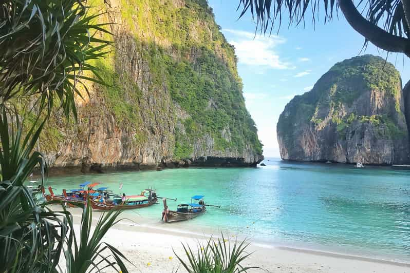 Desde Phuket o Khao Lak: tour temprano de las islas Phi Phi