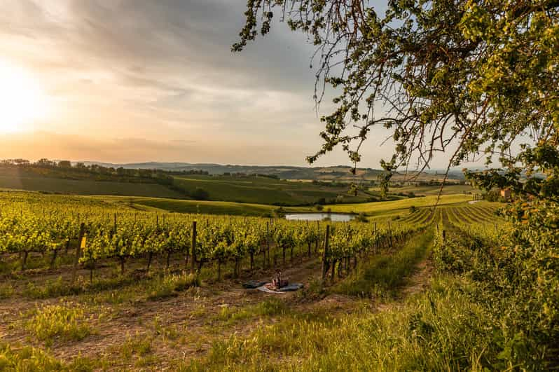 Cata de vinos Brunello con almuerzo típico toscano