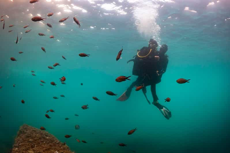 L'Estartit: Prueba el buceo y el snorkel en el Parque Natural del Montgrí